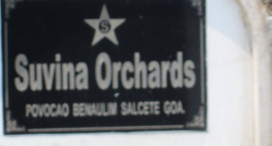 Suvina Orchards, Goa 3